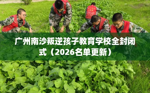 广州南沙叛逆孩子教育学校全封闭式（2026名单更新）