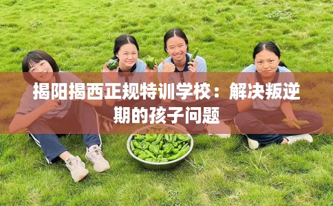 揭阳揭西正规特训学校：解决叛逆期的孩子问题
