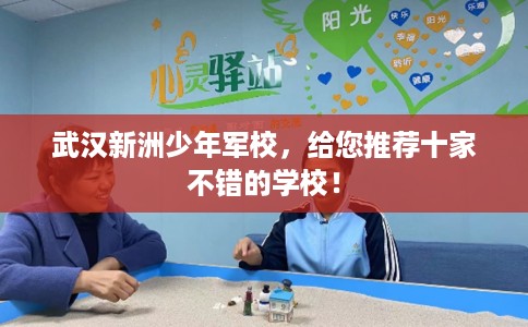 武汉新洲少年军校，给您推荐十家不错的学校！