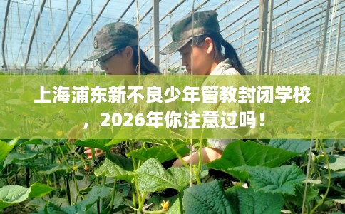 上海浦东新不良少年管教封闭学校，2026年你注意过吗！