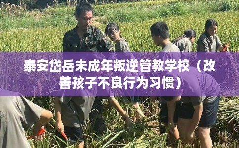 泰安岱岳未成年叛逆管教学校（改善孩子不良行为习惯）