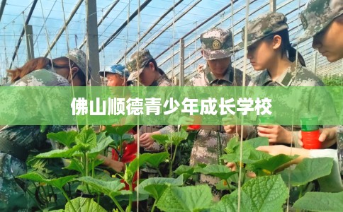 佛山顺德青少年成长学校