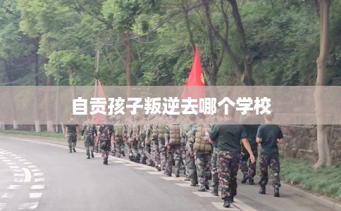 自贡孩子叛逆去哪个学校