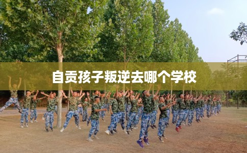 自贡孩子叛逆去哪个学校