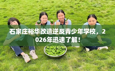 石家庄裕华改造逆反青少年学校，2026年迅速了解！