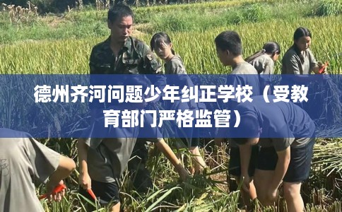 德州齐河问题少年纠正学校（受教育部门严格监管）