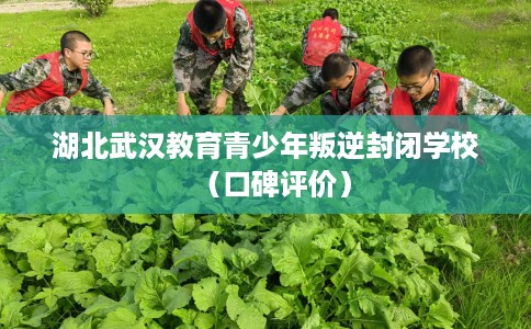 湖北武汉教育青少年叛逆封闭学校（口碑评价）