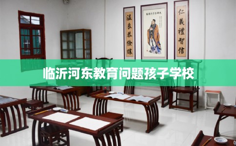临沂河东教育问题孩子学校