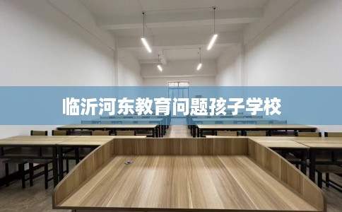 临沂河东教育问题孩子学校