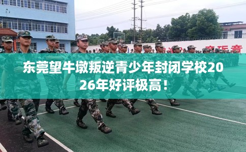 东莞望牛墩叛逆青少年封闭学校2026年好评极高！