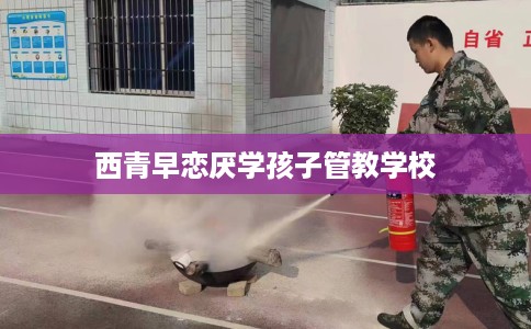 西青早恋厌学孩子管教学校