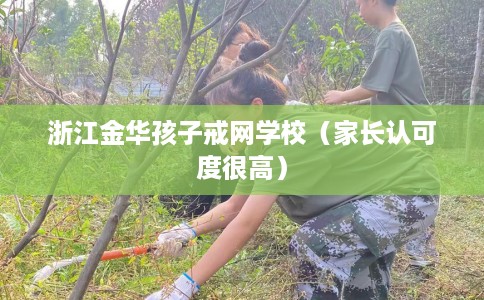 浙江金华孩子戒网学校（家长认可度很高）