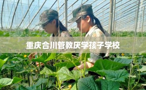重庆合川管教厌学孩子学校