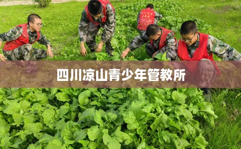 四川凉山青少年管教所