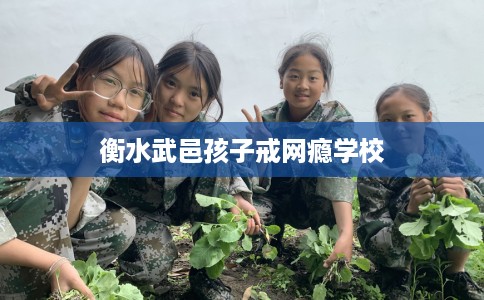衡水武邑孩子戒网瘾学校