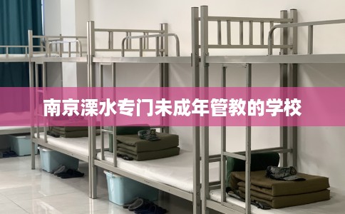 南京溧水专门未成年管教的学校
