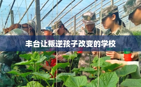丰台让叛逆孩子改变的学校