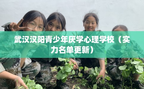 武汉汉阳青少年厌学心理学校（实力名单更新）