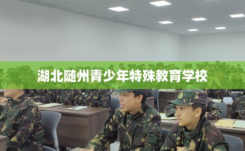 湖北随州青少年特殊教育学校