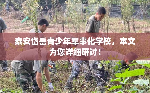 泰安岱岳青少年军事化学校，本文为您详细研讨！