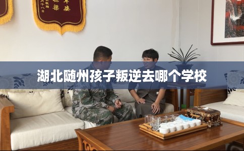 湖北随州孩子叛逆去哪个学校