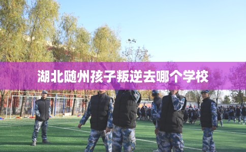 湖北随州孩子叛逆去哪个学校