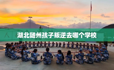 湖北随州孩子叛逆去哪个学校