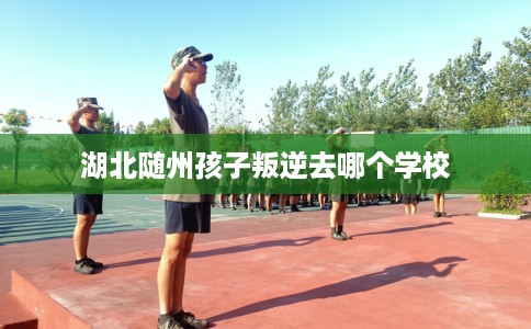 湖北随州孩子叛逆去哪个学校