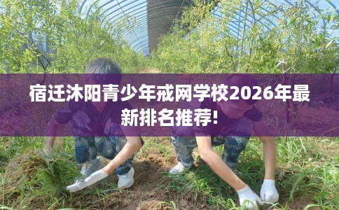 宿迁沐阳青少年戒网学校2026年最新排名推荐!
