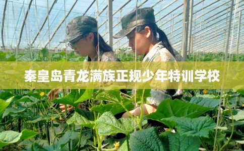 秦皇岛青龙满族正规少年特训学校