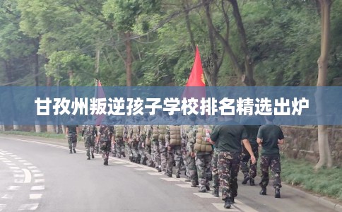 甘孜州叛逆孩子学校排名精选出炉