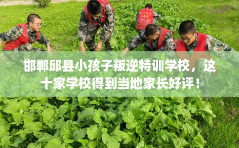 邯郸邱县小孩子叛逆特训学校，这十家学校得到当地家长好评！