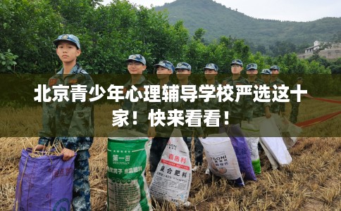 北京青少年心理辅导学校严选这十家！快来看看！