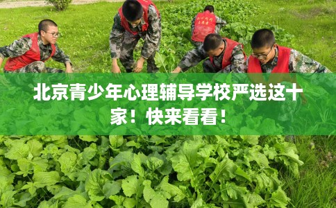 北京青少年心理辅导学校严选这十家！快来看看！