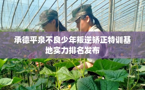 承德平泉不良少年叛逆矫正特训基地实力排名发布