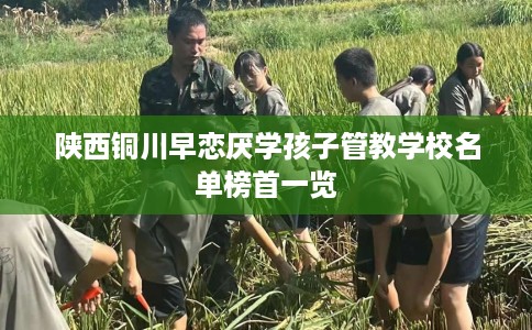 陕西铜川早恋厌学孩子管教学校名单榜首一览