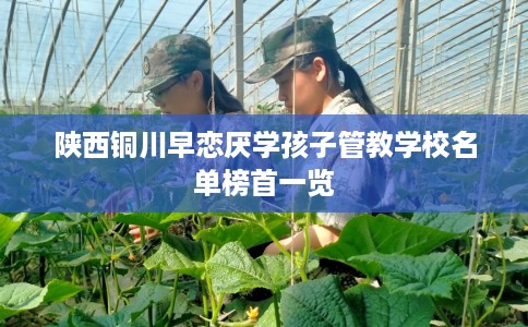 陕西铜川早恋厌学孩子管教学校名单榜首一览