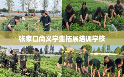 张家口尚义学生拓展培训学校