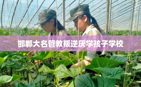 邯郸大名管教叛逆厌学孩子学校
