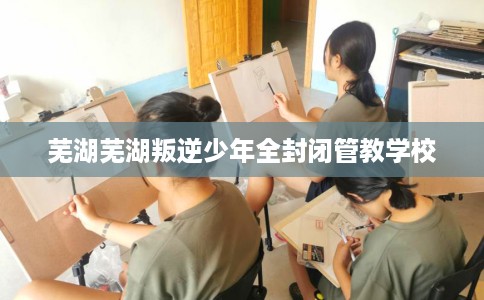 芜湖芜湖叛逆少年全封闭管教学校