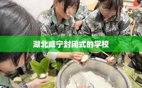 湖北咸宁封闭式的学校