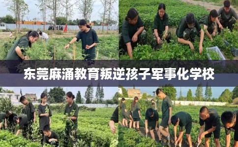 东莞麻涌教育叛逆孩子军事化学校