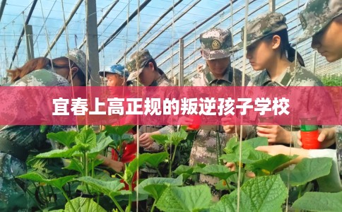 宜春上高正规的叛逆孩子学校