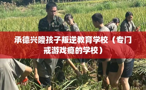 承德兴隆孩子叛逆教育学校（专门戒游戏瘾的学校）