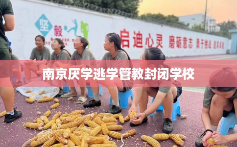 南京厌学逃学管教封闭学校