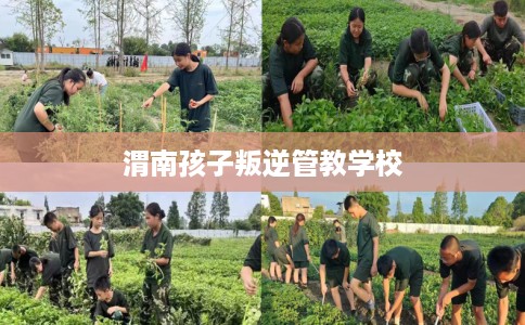 渭南孩子叛逆管教学校