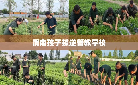 渭南孩子叛逆管教学校