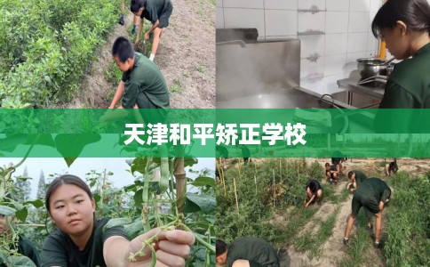 天津和平矫正学校