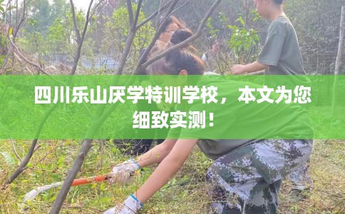 四川乐山厌学特训学校，本文为您细致实测！