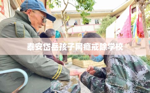 泰安岱岳孩子网瘾戒除学校